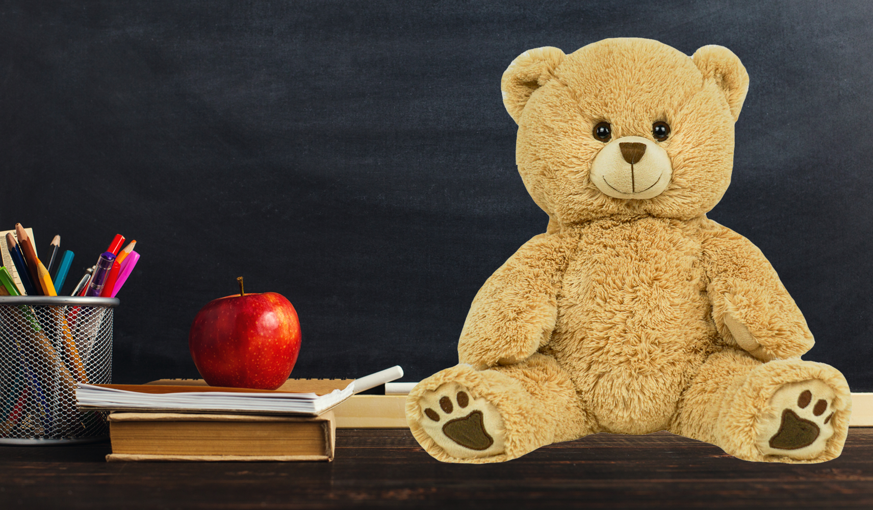 teddy bear classroom reading buddy 