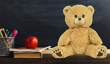 build a plush teddy bear teacher 